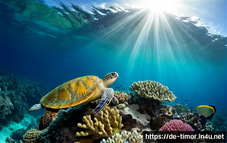 Home 17 동티모르의 해양 생태계 - Photorealistic underwater reef ecosystem off the coast of Timor-Leste, vibrant hard corals and sea f...